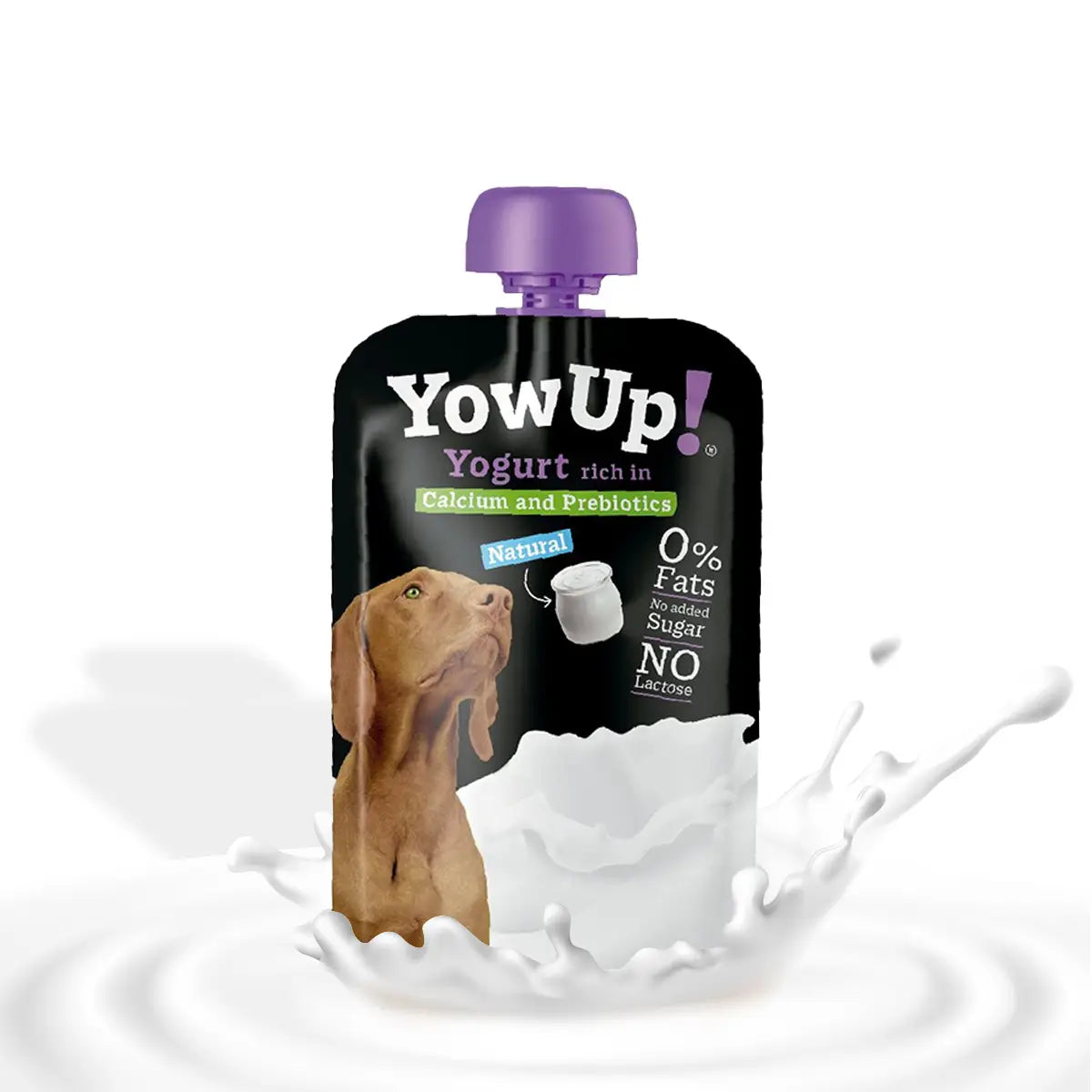 Yaourt calcium et prébiotiques