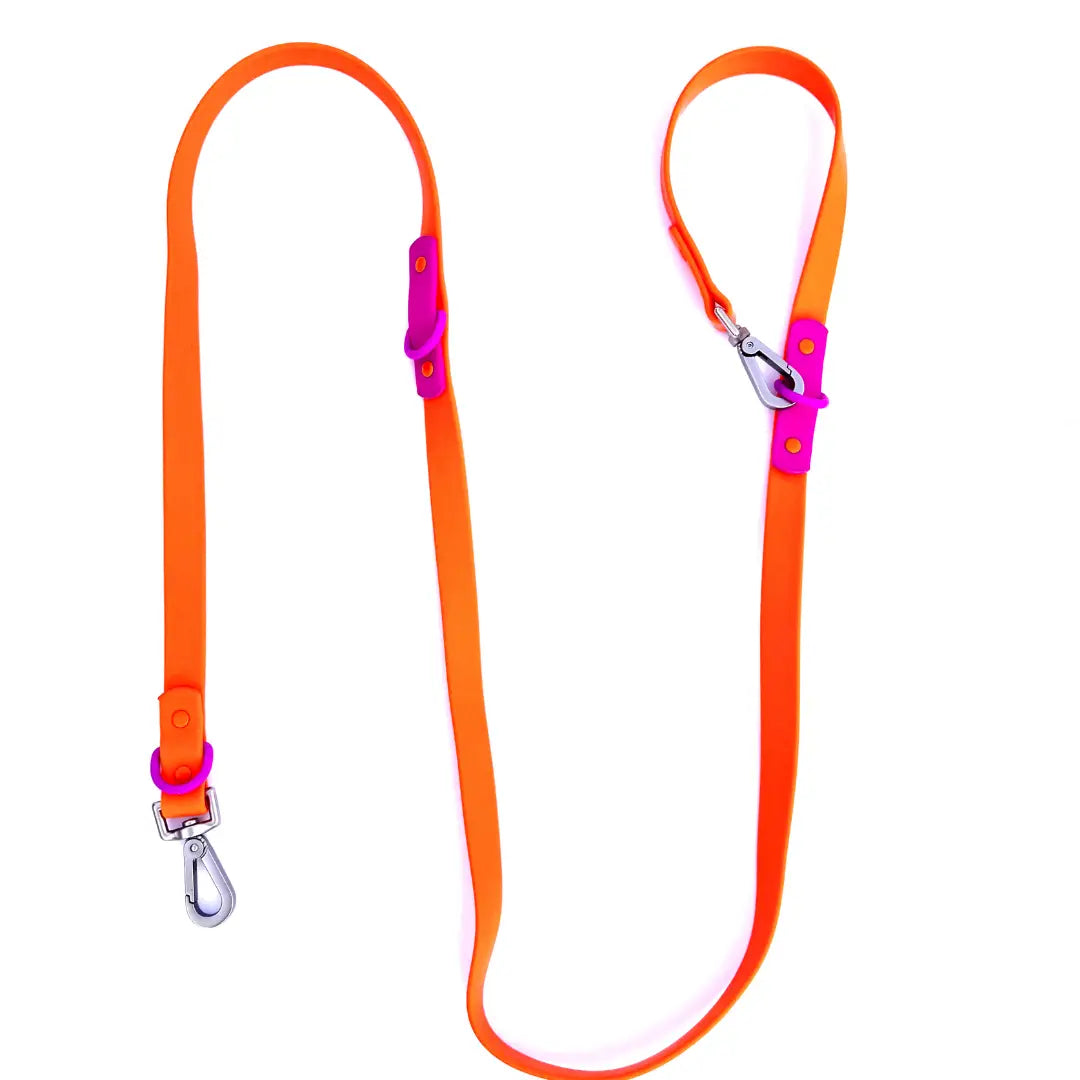 Laisse biothane - Violette & Orange