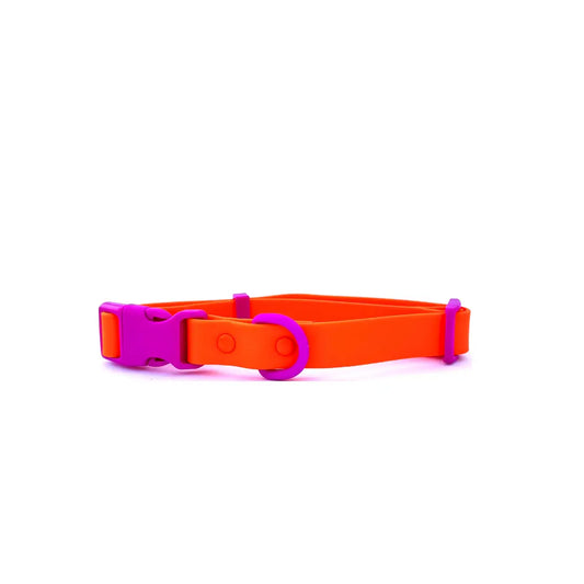 Collier biothane - Violet & Orange
