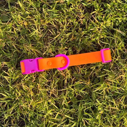 Collier biothane - Violet & Orange