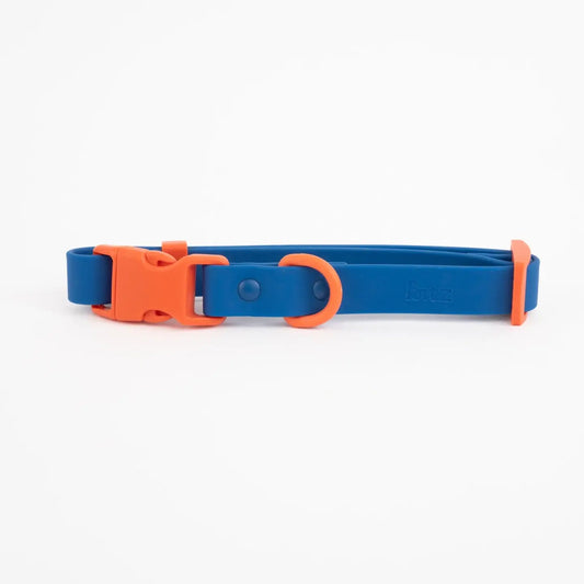 Collier biothane - Bleu & Orange